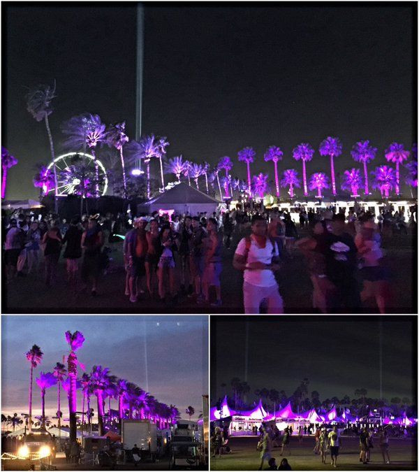Một Coachella 'phủ tím'