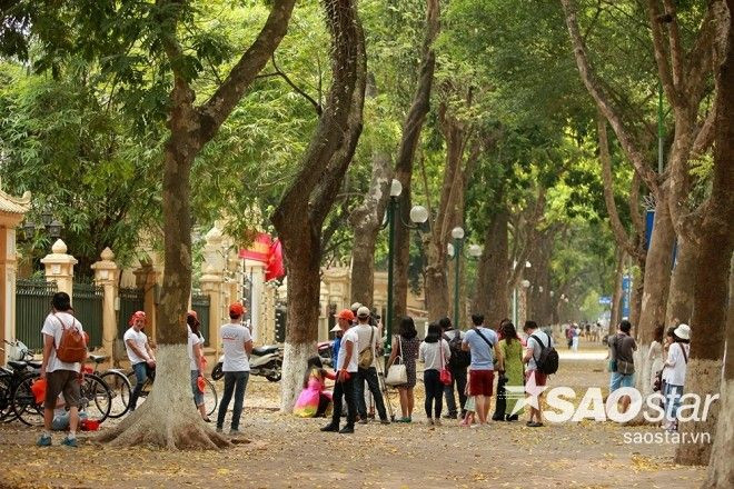 Không khí nhộn nhịp trên con phố trải dài lá vàng (phố Phan Đình Phùng)