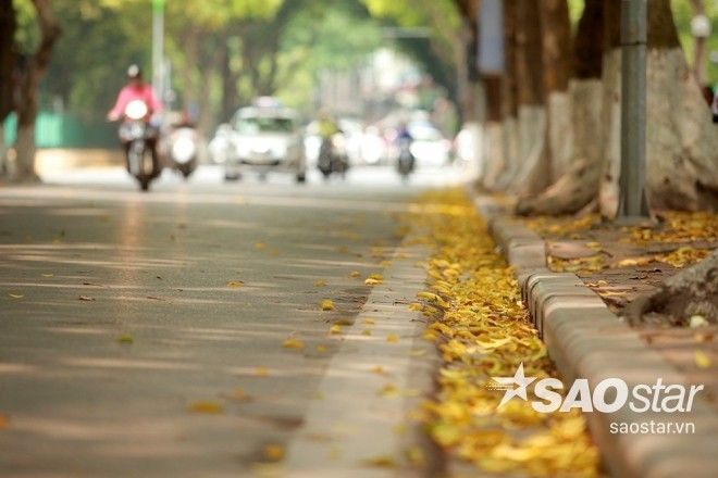Một góc nhỏ nhìn sang đường Hoàng Hoa Thám.