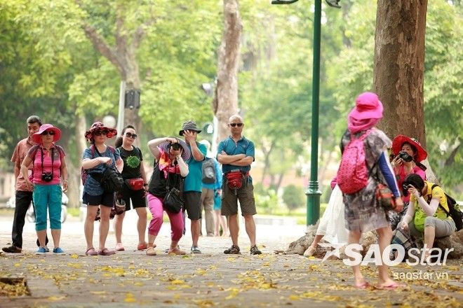Du khách nước ngoài ngỡ ngàng cảnh đẹp mùa thay lá trên con phố Phan Đình Phùng