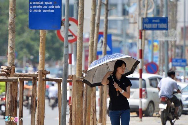 Thủ tướng: 'Thông tin lại đầy đủ về đề án thay thế cây xanh'