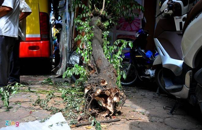 Xe buýt phi lên vỉa hè húc gần chục xe máy