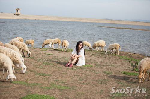 du-lich-chan-cuu-o-Phan-Rang-1-4