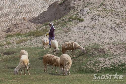 du-lich-chan-cuu-o-Phan-Rang-1-7