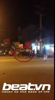 BEATVN.00_00_15_23.Still003