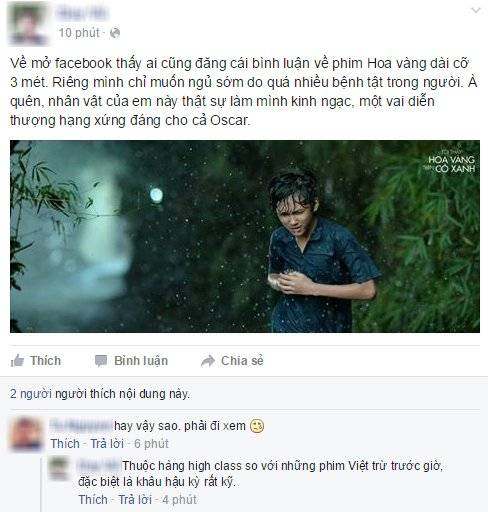 phan-hoi-hoa-vang-co-xanh-2