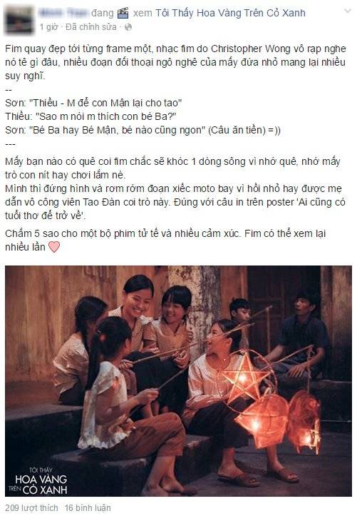 phan-hoi-hoa-vang-co-xanh-7