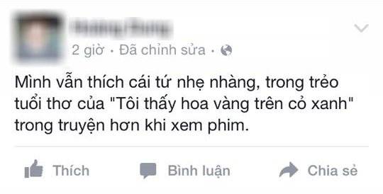 phan-hoi-hoa-vang-co-xanh-11