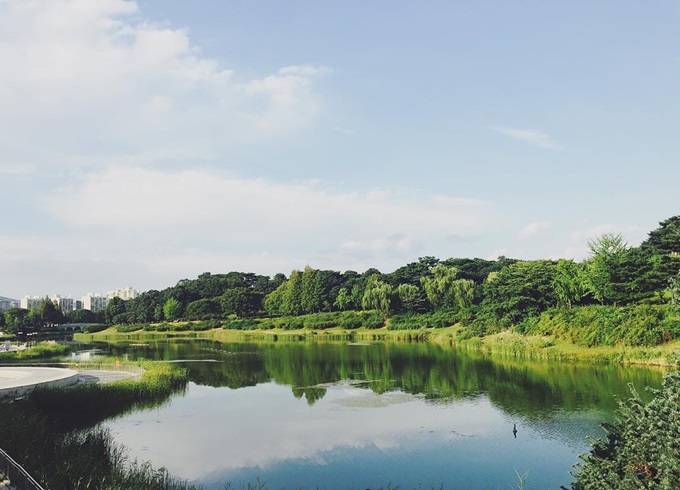 Du lich Han quoc voi 19 trieu (21)