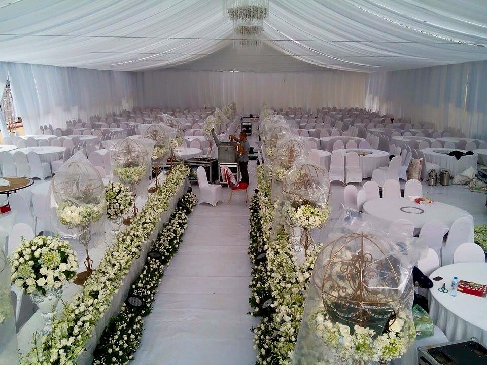 12274495_10208155066535781_1651733994870869466_n