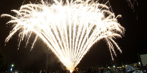 Pháo hoa đón năm mới 2016 ở Vỉnh Hawkes, New Zealand. Ảnh: New Zealand Hearald.