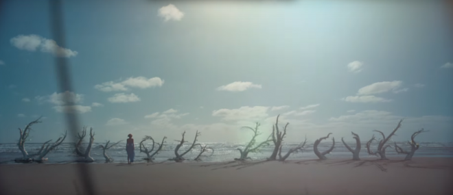 Chi tiết rễ cây mọc lên tạo thành dòng chữ Out of The Woods khá tinh tế.