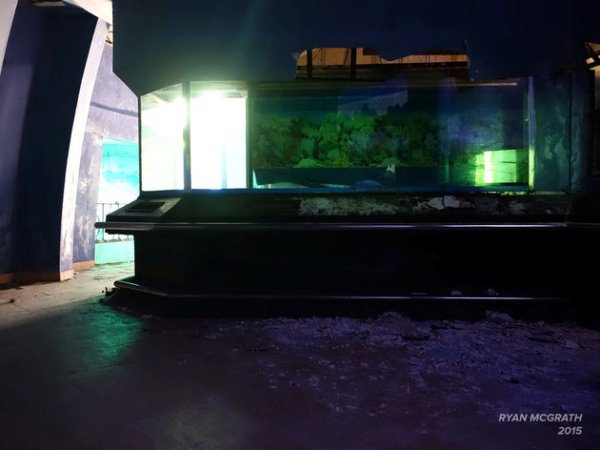 Congviennuocbohoang (6)