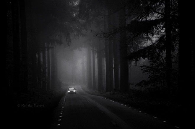 Đường cao tốc xuyên qua rừng cây.