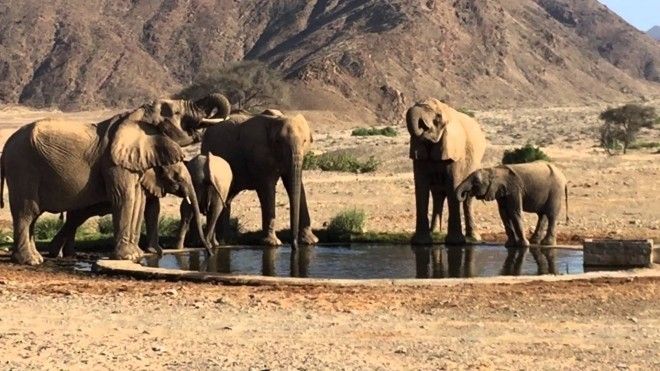 5lydoghethamCongdianguc-5