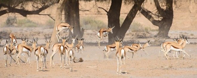 5lydoghethamCongdianguc-6