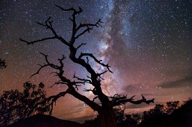 nhung-trai-nghiem-nay-se-khien-ban-ca-doi-khong-bao-gio-hoi-tiec (11)