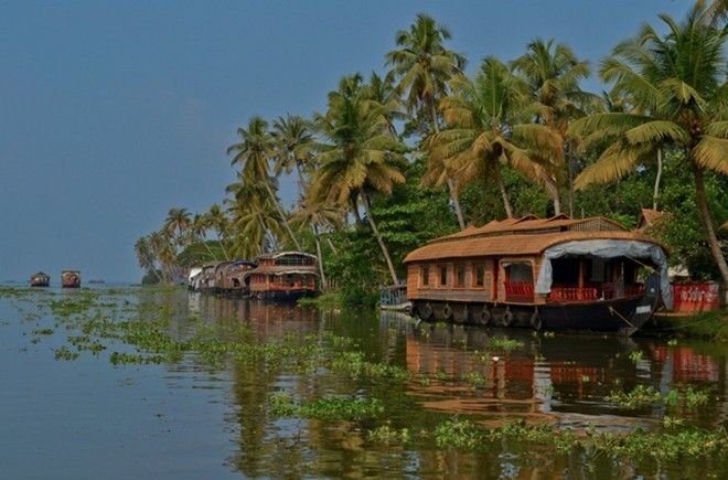 nhung-trai-nghiem-nay-se-khien-ban-ca-doi-khong-bao-gio-hoi-tiec (14)