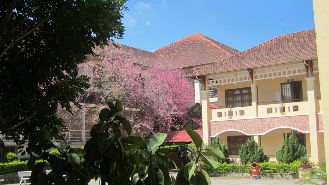 THPTThangLongDaLat (1)