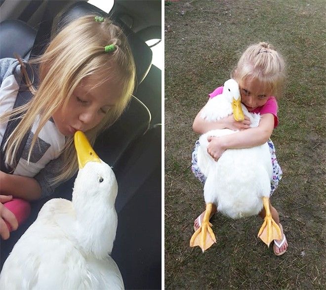 "Kylie và Bông Tuyết có lẽ là tri âm tri kỷ của nhau. Tôi thấy con bé trưởng thành và trách nhiệm hơn khi chăm lo cho Bông Tuyết", mẹ Kylie chia sẻ thêm.