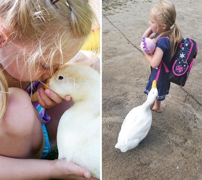 embe5tuoivaconvit (2)