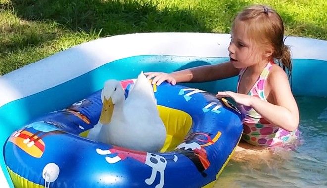 Cả hai không chỉ là những người bạn đặc biệt của nhau mà trong mắt Bông Tuyết, Kylie chính là mẹ của chú.