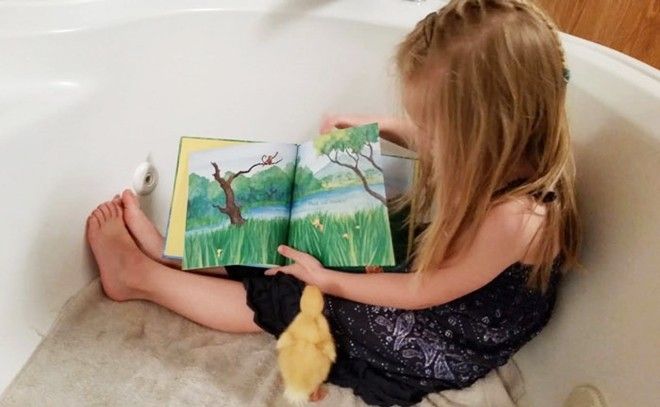 embe5tuoivaconvit (6)