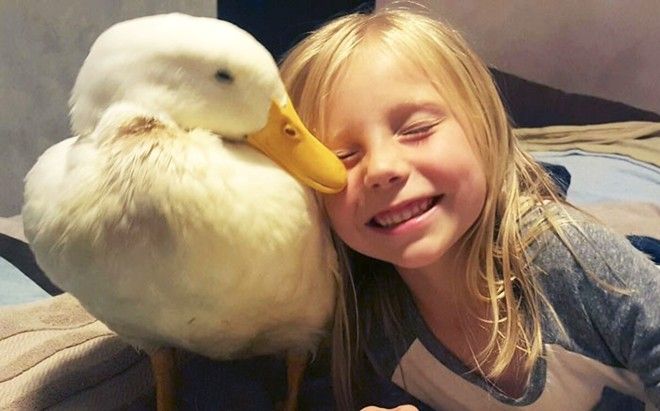 Kylie chỉ mới 5 tuổi nhưng đã là bà mẹ của một con... vịt.