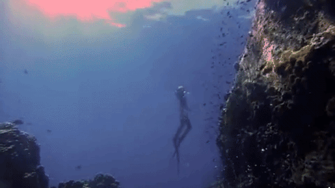 Phượt trên cạn chán chê, sao Việt chuyển sang mê thám hiểm biển Ảnh 2