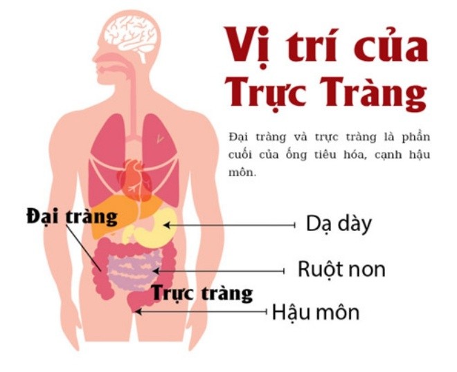 ungthutructrang5