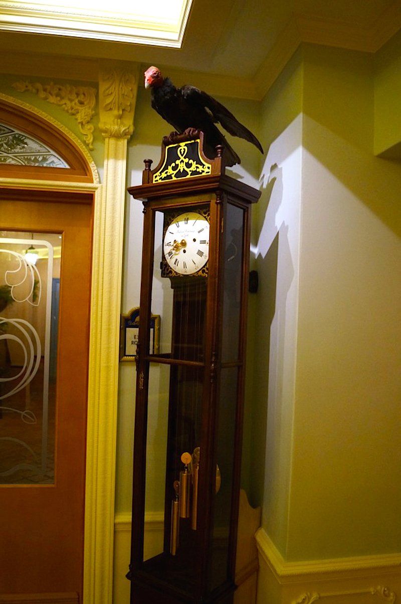 Also in the reception area is a vulture on a grandfather clock. "When Walt Disney first planned the club, he had a vulture in the trophy room and in the chandeliers there were microphones so that he could listen to guest conversations and then have the vulture talk back from the clock," Doyle said. They abandoned that plan pretty quickly, but the vulture still remains — and talks to guests!