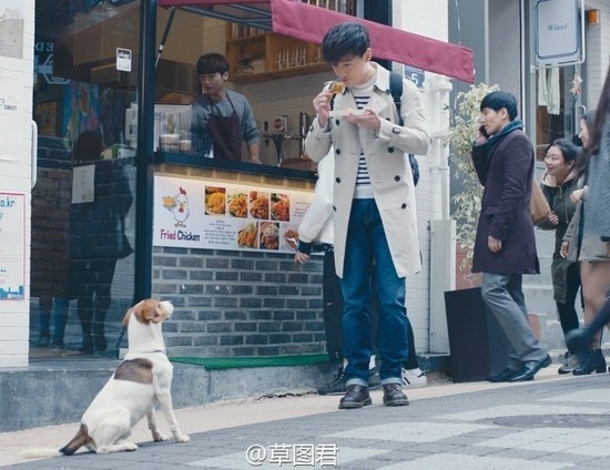 Anh chàng trêu chọc chú cún.