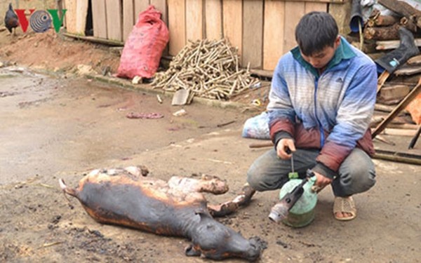 160325DOISONGretnangban002