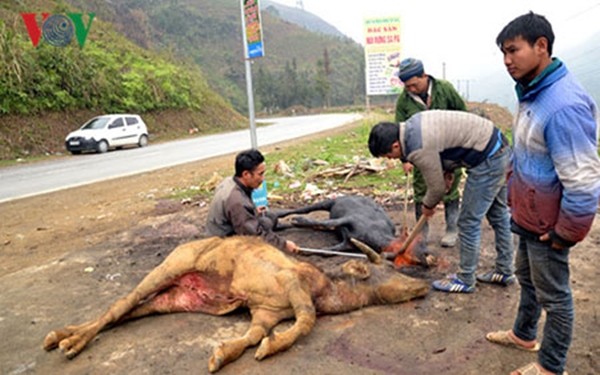 160325DOISONGretnangban005