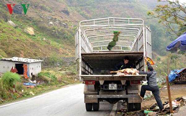 160325DOISONGretnangban009