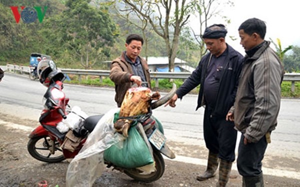 160325DOISONGretnangban010