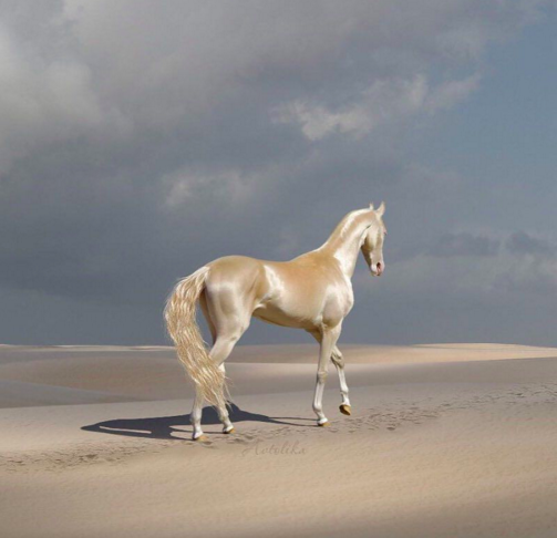  9. Tiếp đó là bị mê hoặc bởi ma lực của kỹ thuật tạo khối và highlight.