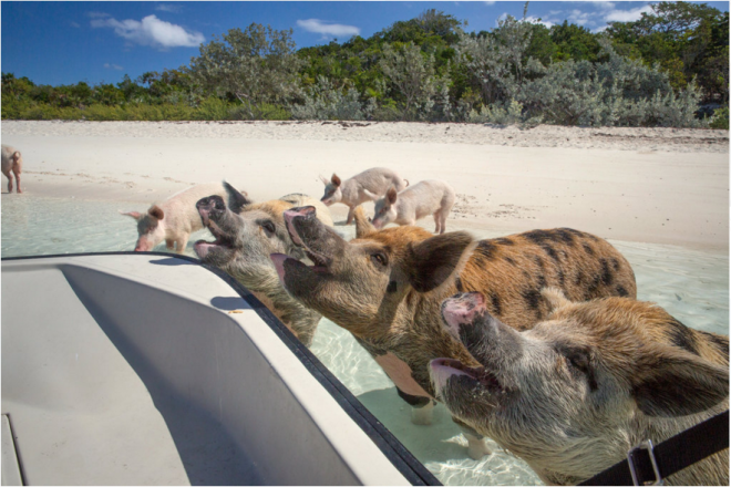 Zalo_ScreenShot_4_4_2016_1721901