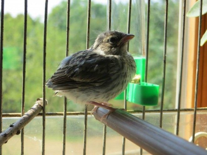 Dáng đậu vắt vẻo của nàng Dumpling 