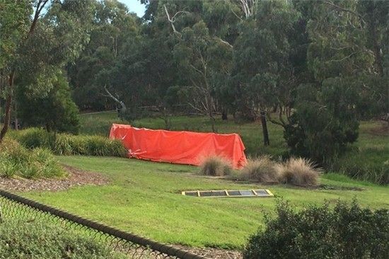 Thi theerbes gái được tìm thấy ở Darebin Creek
