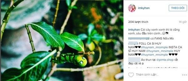 Kỳ Hân đăng tải hình ảnh tương tự lên instagram với dòng trạng thái "Cây xanh xanh thì lá cũng xanh, sâu đậu trên cành..."