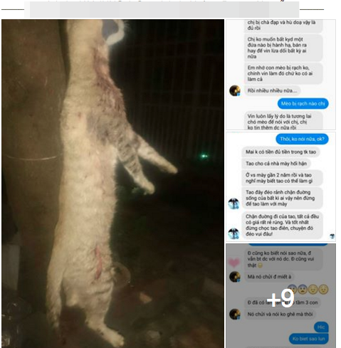 Những hình ảnh tàn nhẫn về hoạt động của trạm.