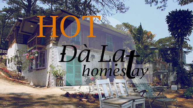 Thêm một địa chỉ homestay 'chất phát ngất' giữa rừng thông Đà Lạt Ảnh 2