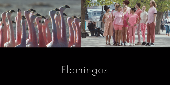 Zalo_ScreenShot_17_4_2016_172321