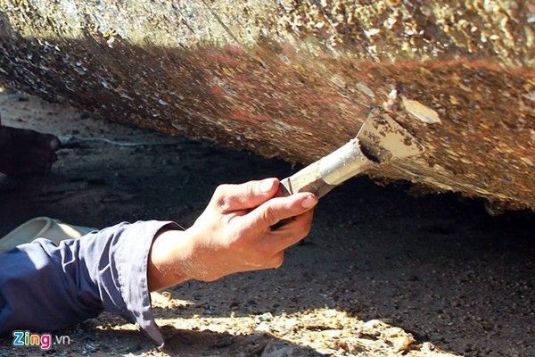 Sáu Thanh nằm ngửa trên nền cát đầy xác hà để cạo sạch hà ở thân dưới thuyền. Cạo hà là nghề tự phát, với phương pháp làm việc thủ công, công cụ thô sơ, không có đồ bảo hộ lao động, lại tiếp xúc với xác hà sắc nhọn nên dễ xảy ra tại nạn.