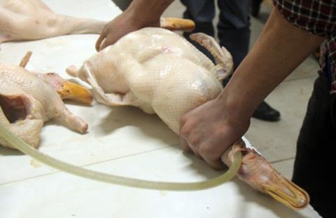 Bơm nước, thủ đoạn tinh vi của người bán hàng giúp tăng cân nặng của vịt. 