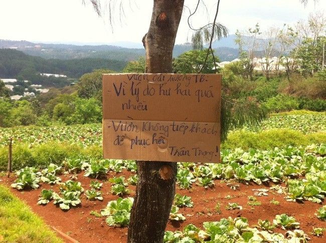 Thông báo của anh Tiến trên trang cá nhân.