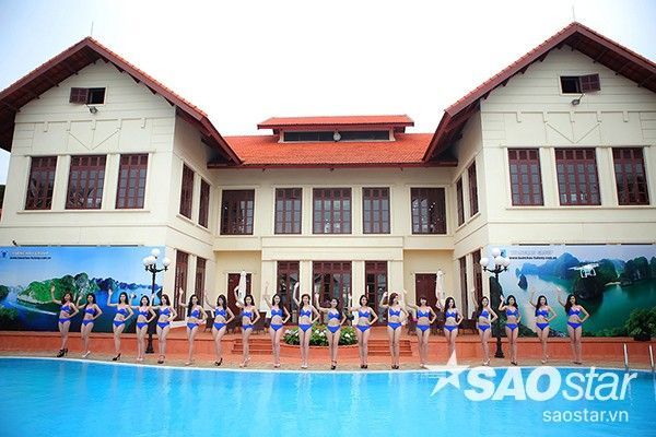 Top 20 thí sinh cuộc thi Người đẹp Hạ Long 2016.