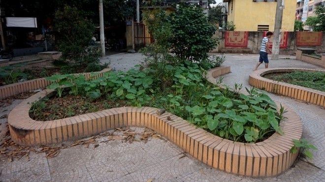 ha-noi-dan-trong-rau-sach-roi-doa-moi-phun-thuoc-24-184953