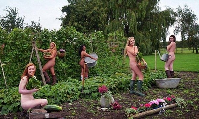 1462545042-1462527379-cd_oev4w8aakepx